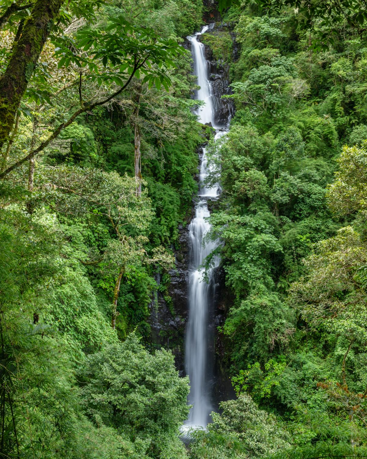 healthcare in costa rica for expats - Costa Rica scene