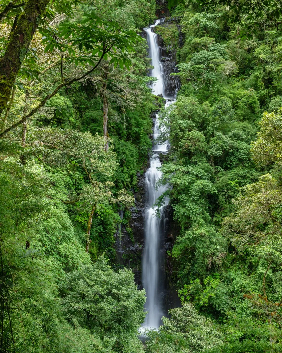 healthcare in costa rica for expats - Costa Rica scene