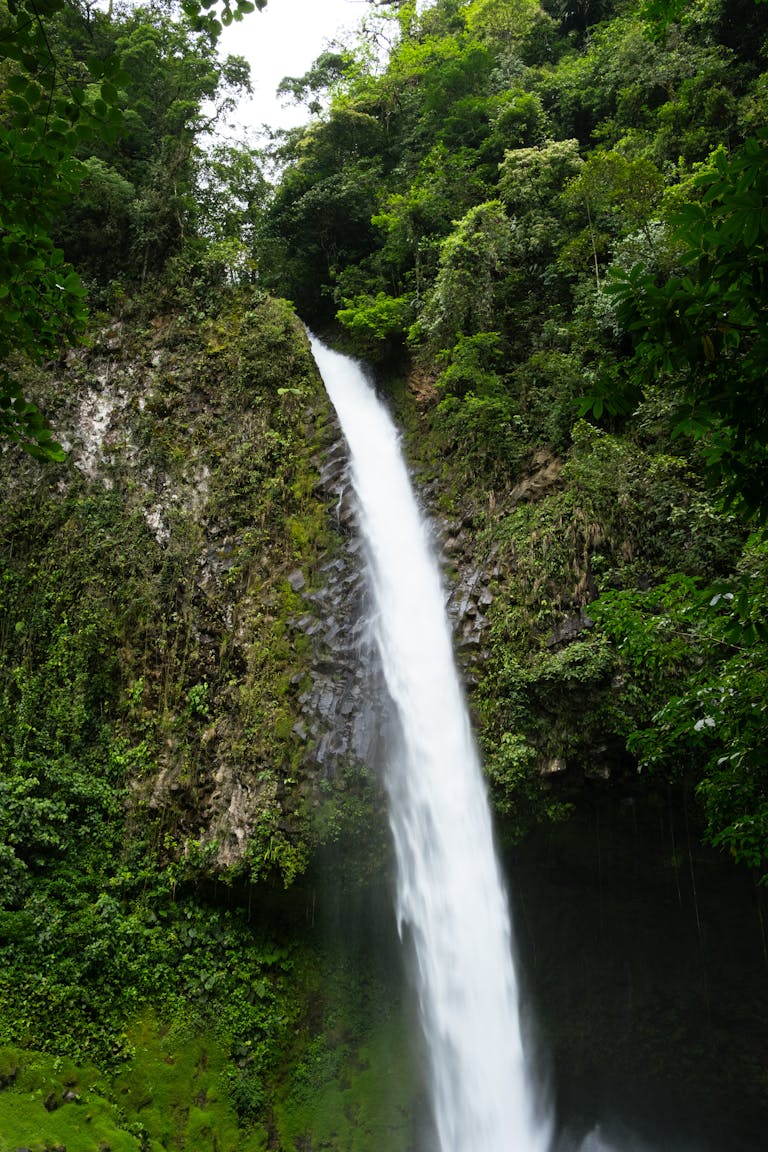 La Fortuna Waterfall in Costa Rica rainforest - how to get Costa Rican citizenship guide