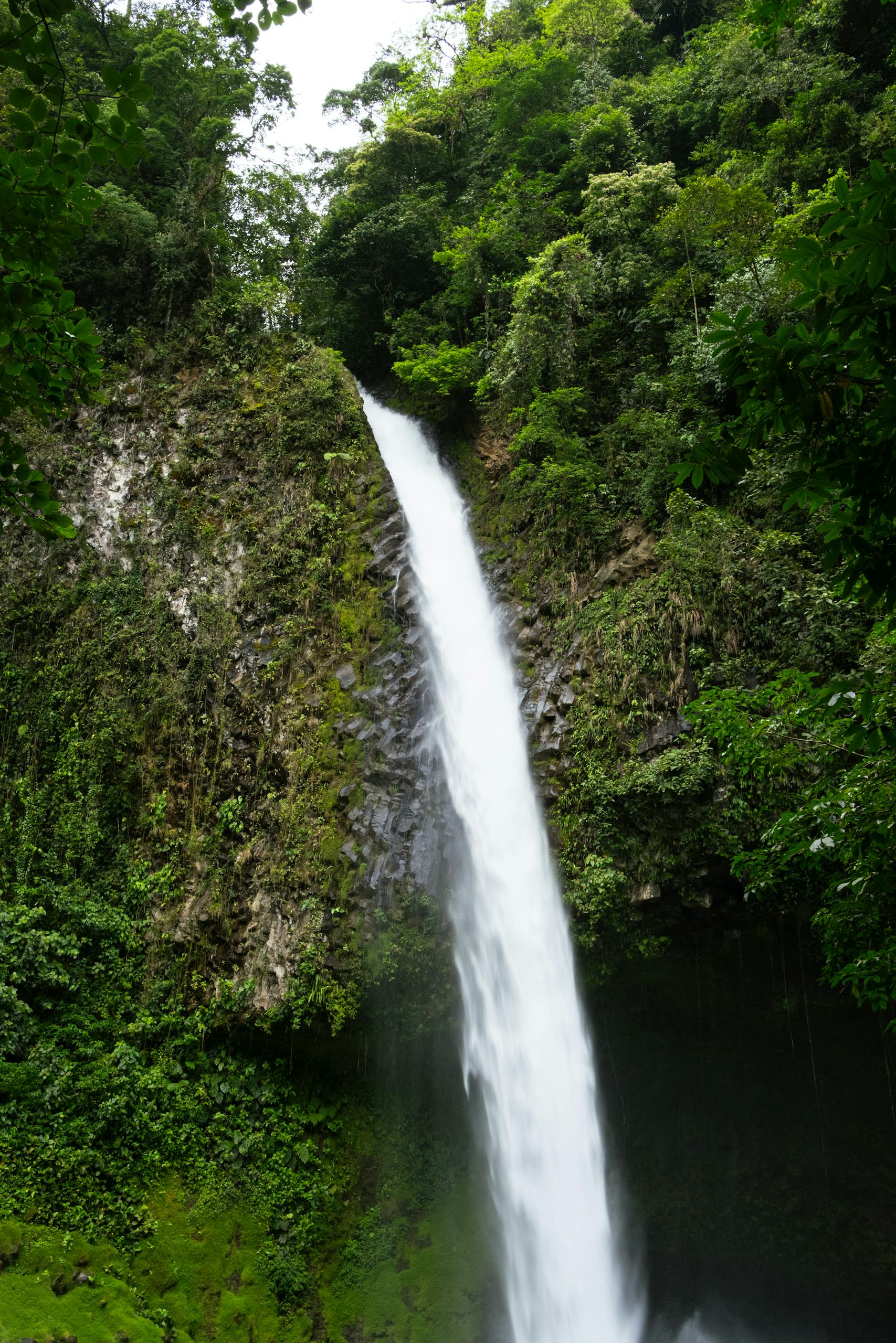 La Fortuna Waterfall in Costa Rica rainforest - how to get Costa Rican citizenship guide