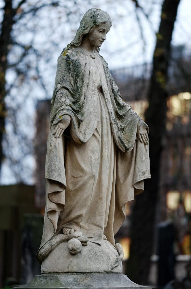 living in south africa for a month Cape Winelands vineyard landscape