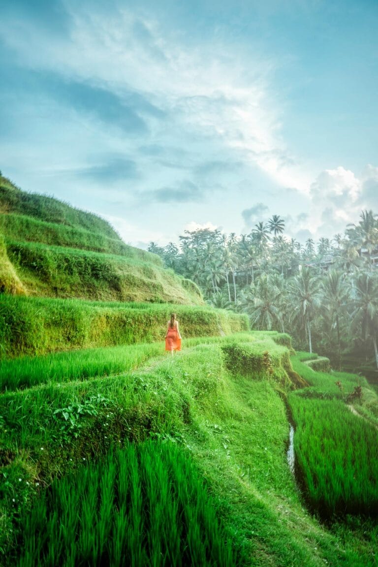 Woman in red dress walking through Bali rice terraces Indonesia