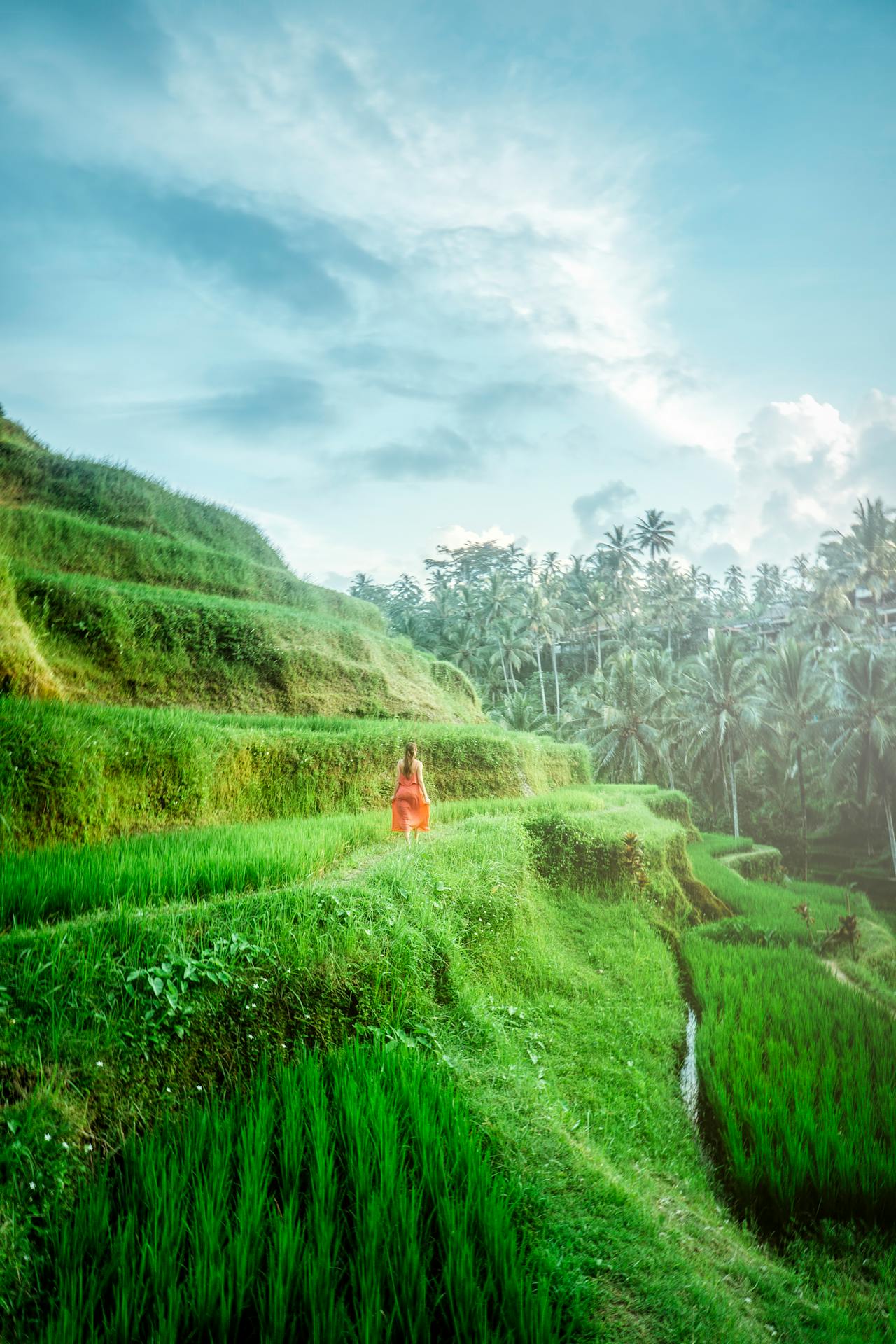 Woman in red dress walking through Bali rice terraces Indonesia