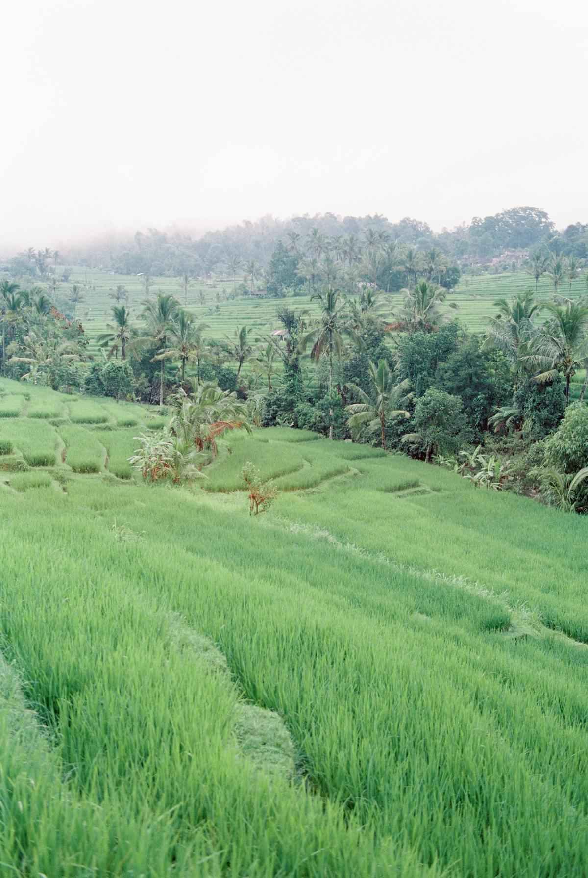 Can You Live in Bali on $1,000 a Month? 7 Real Numbers (2026) 1 Can You Live in Bali on $1,000 a Month? 7 Real Numbers (2026)