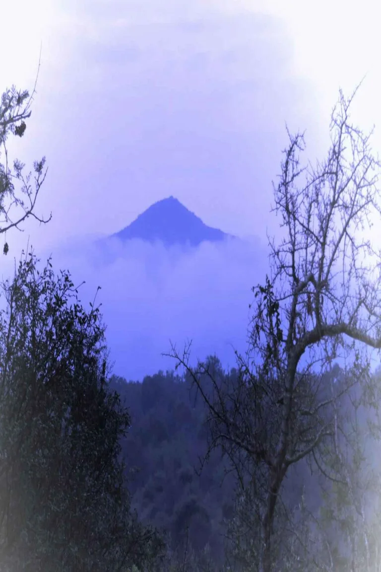 Cost of Living in Cape Town for Americans: 7 Real Numbers (2026) 11 Cost of living Cape Town South Africa for Americans - Cape Town Camps Bay beach South Africa