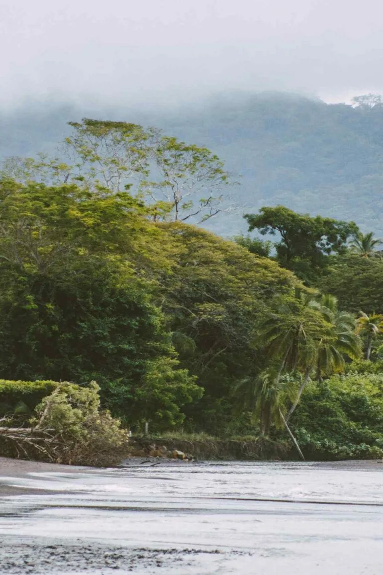 Costa Rica rainforest landscape - moving to Costa Rica from the US