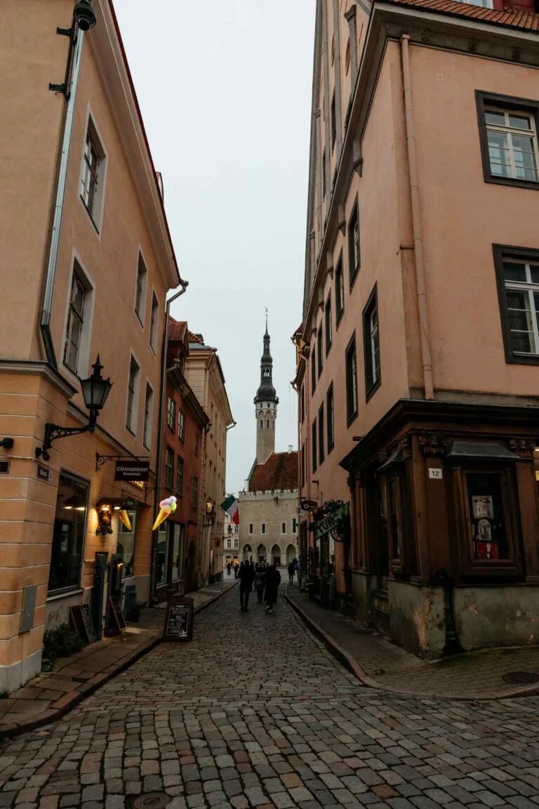 Estonia Digital Nomad Visa: Requirements, Costs & How to Apply (2026) 16 estonia digital nomad visa requirements and application guide