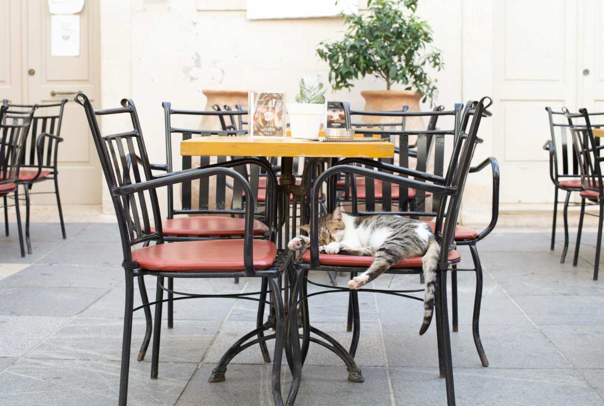 Greek outdoor cafe with sunny courtyard, daily life in Greece for expats