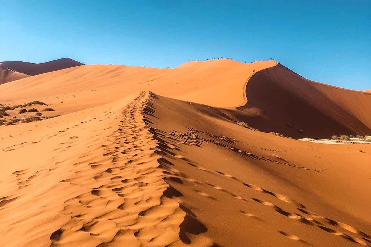Moving to Colombia from USA: Complete Guide for Americans (2026) 4 Colombia coffee region landscape - a key attraction for Americans moving to Colombia from USA
