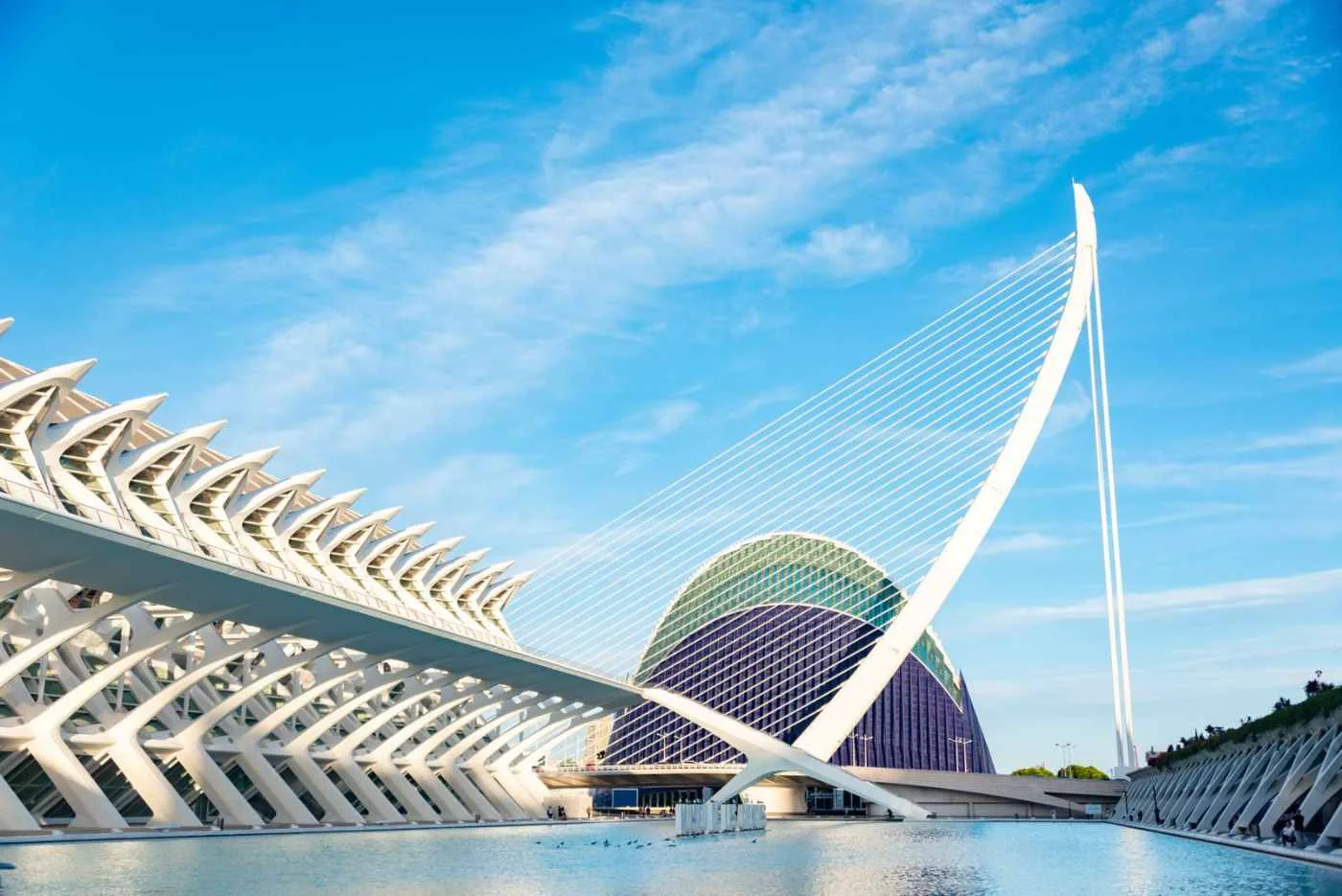 Valencia City of Arts and Sciences at dusk, a landmark near the heart of the cost of living in Valencia for Americans