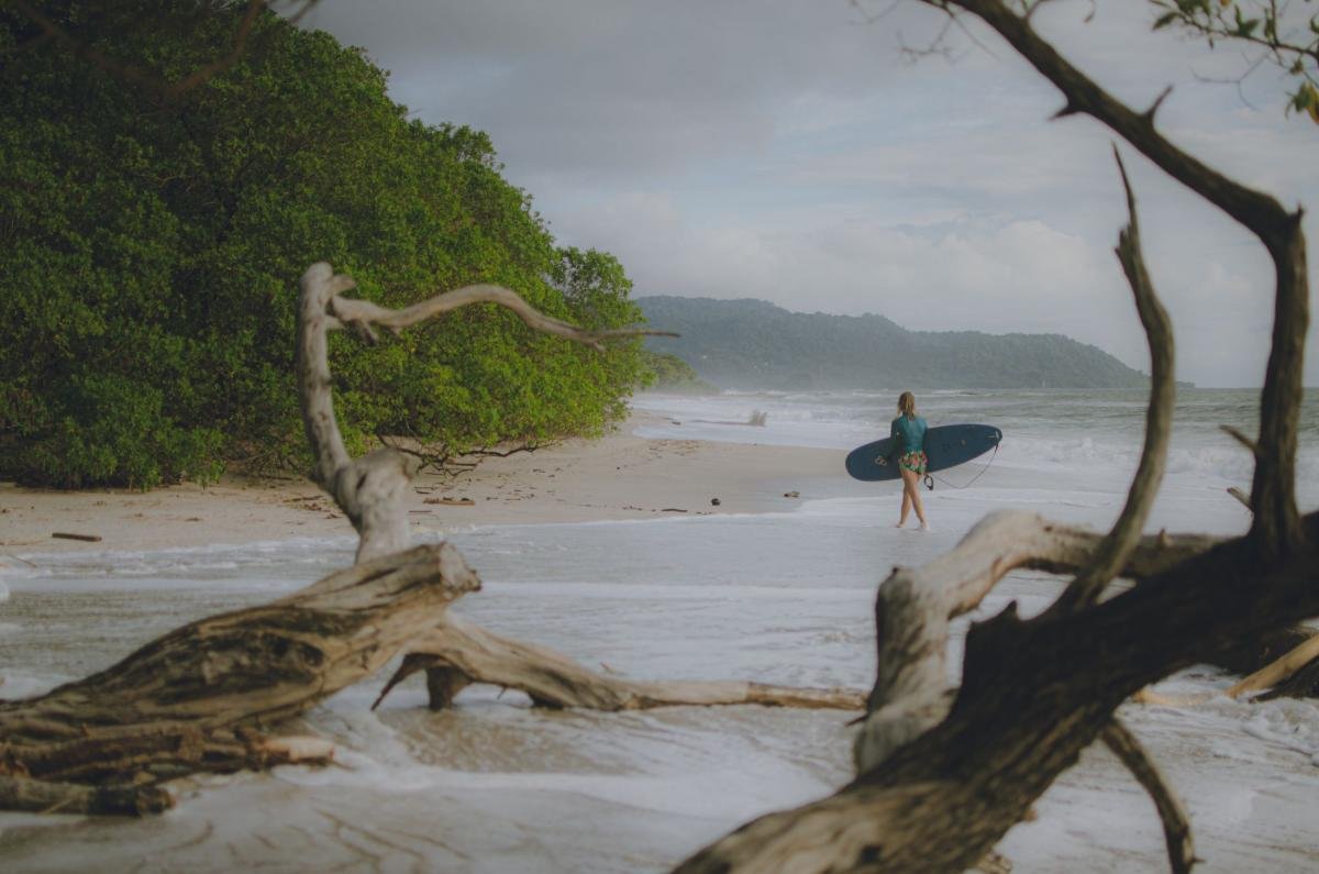 Costa Rica Digital Nomad Visa: 7 Key Requirements (2026) 3 Surfer carrying a board along Tamarindo beach in Costa Rica, with driftwood and forested hills behind
